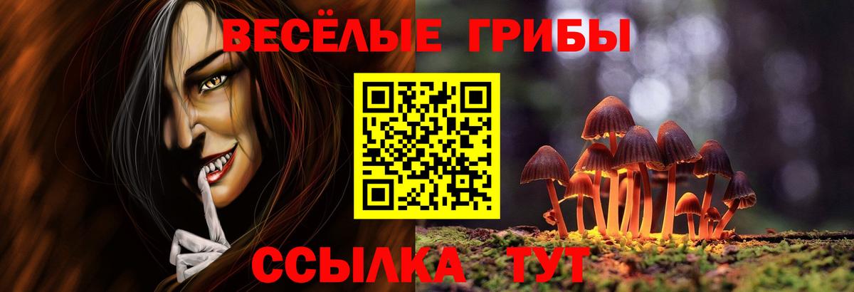 Псилоцибиновые грибы Psilocybine cubensis  Вход с VPN  купить  сайты  Псилоцибиновые грибы Psilocybe  Полевской 